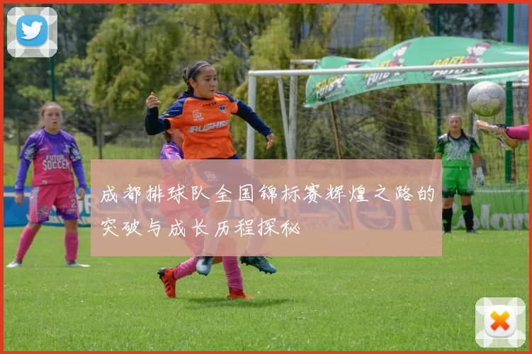 成都排球队全国锦标赛辉煌之路的突破与成长历程探秘