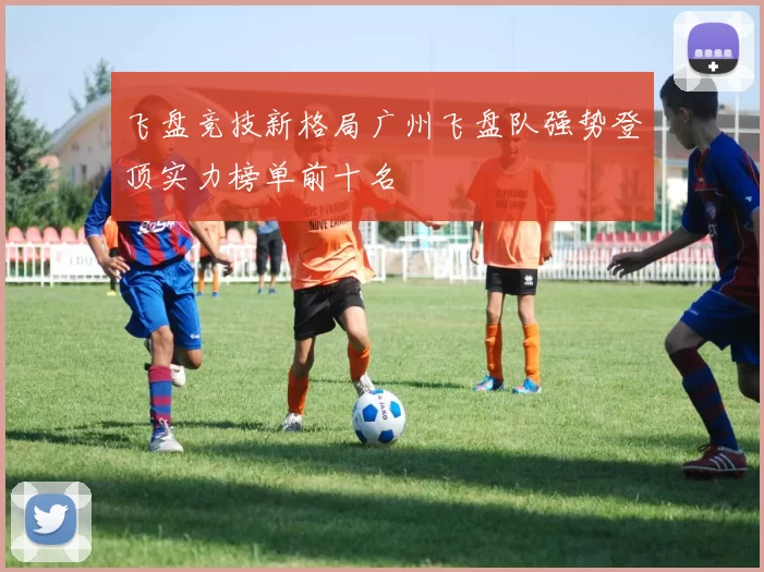 飞盘竞技新格局广州飞盘队强势登顶实力榜单前十名