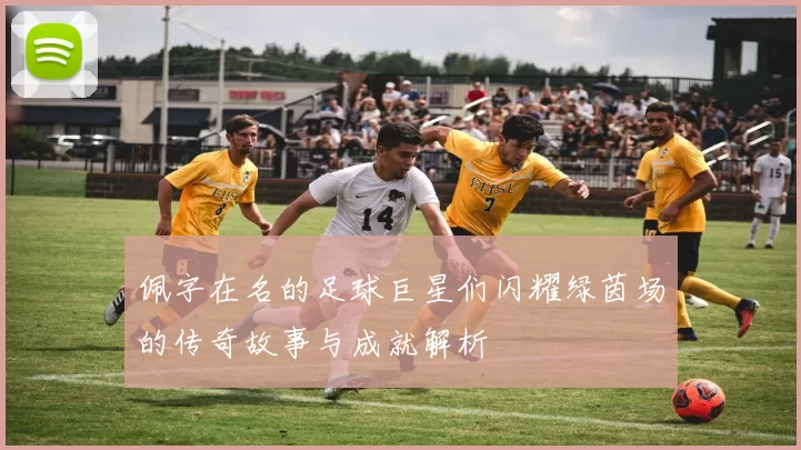 佩字在名的足球巨星们闪耀绿茵场的传奇故事与成就解析