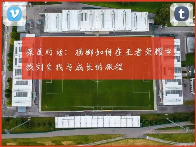 深度对话：杨娜如何在王者荣耀中找到自我与成长的旅程