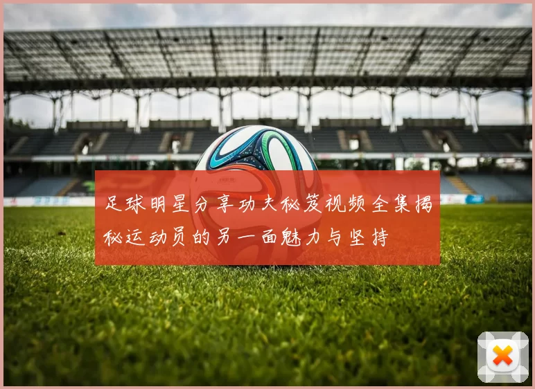 足球明星分享功夫秘笈视频全集揭秘运动员的另一面魅力与坚持