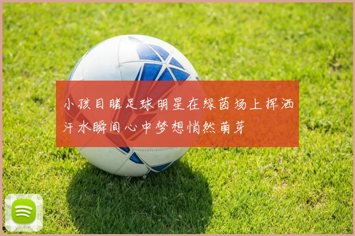 小孩目睹足球明星在绿茵场上挥洒汗水瞬间心中梦想悄然萌芽