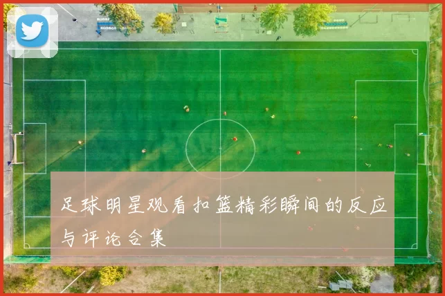 足球明星观看扣篮精彩瞬间的反应与评论合集