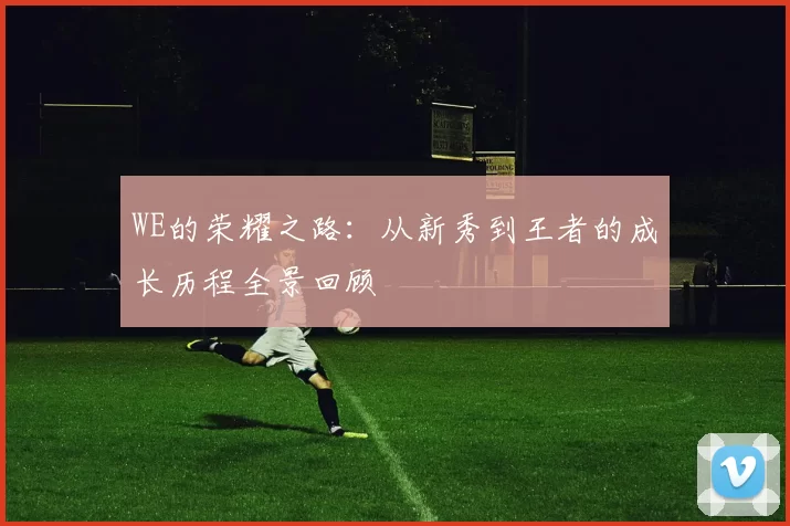 WE的荣耀之路：从新秀到王者的成长历程全景回顾