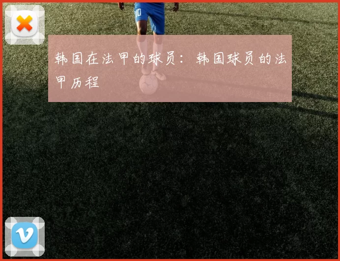 韩国在法甲的球员：韩国球员的法甲历程