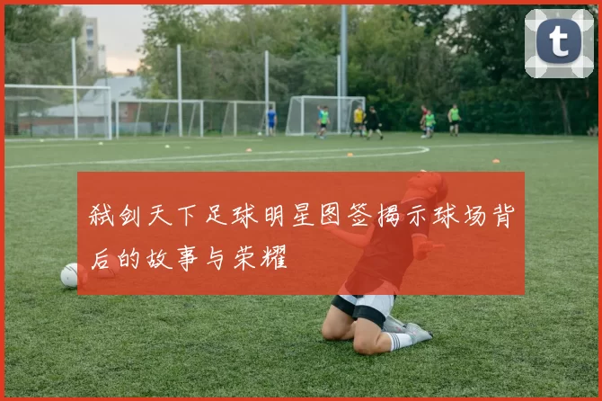 弑剑天下足球明星图签揭示球场背后的故事与荣耀