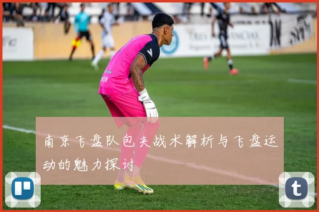 南京飞盘队包夹战术解析与飞盘运动的魅力探讨