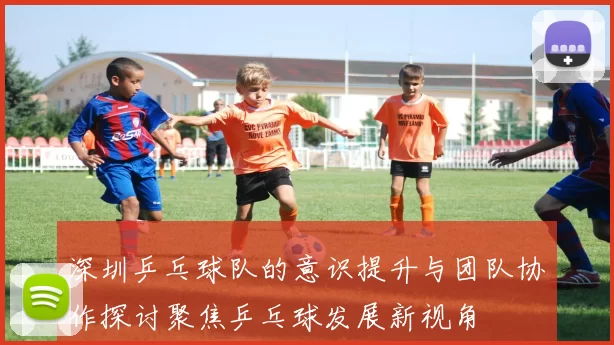 深圳乒乓球队的意识提升与团队协作探讨聚焦乒乓球发展新视角