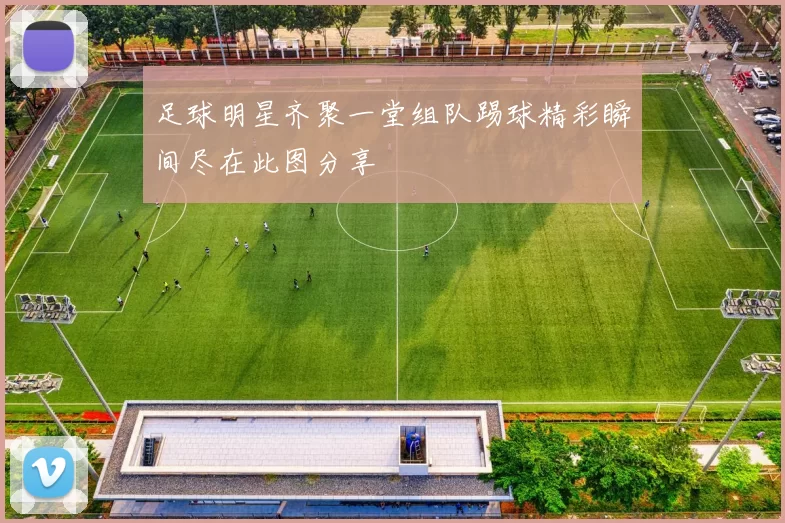 足球明星齐聚一堂组队踢球精彩瞬间尽在此图分享