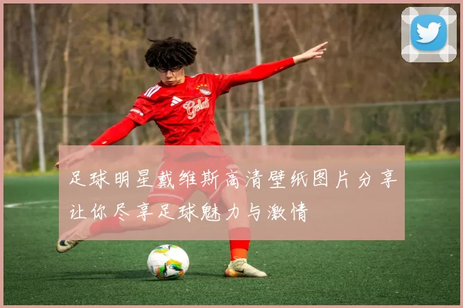 足球明星戴维斯高清壁纸图片分享让你尽享足球魅力与激情