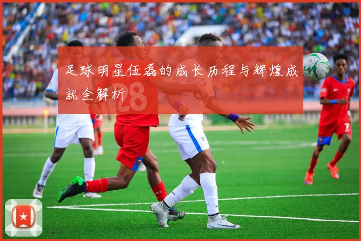 足球明星伍磊的成长历程与辉煌成就全解析
