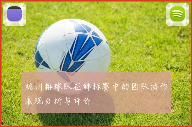 杭州排球队在锦标赛中的团队协作表现分析与评价