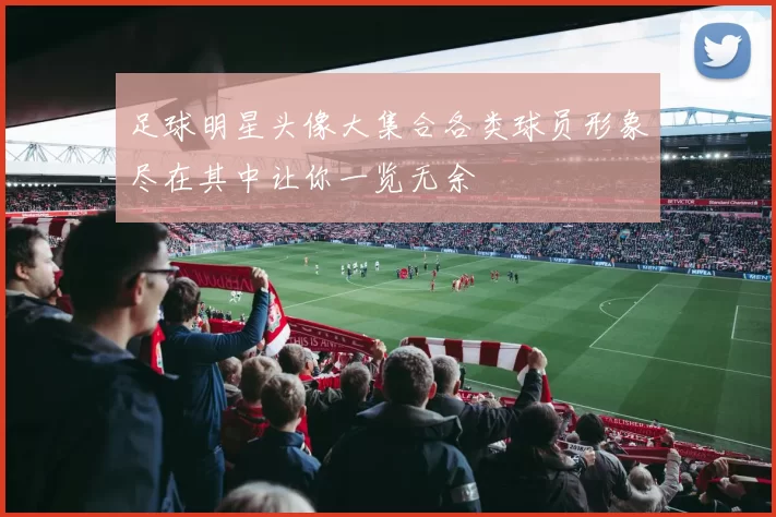 足球明星头像大集合各类球员形象尽在其中让你一览无余