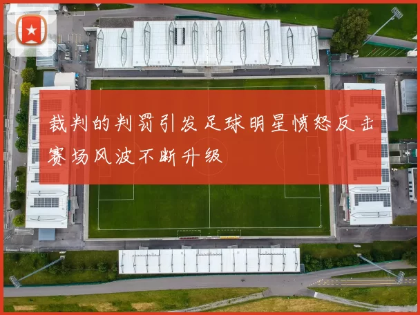 裁判的判罚引发足球明星愤怒反击赛场风波不断升级