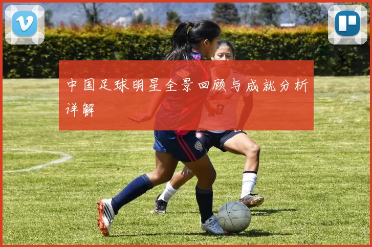 中国足球明星全景回顾与成就分析详解