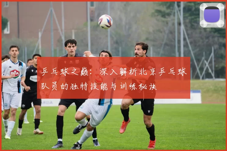乒乓球之巅：深入解析北京乒乓球队员的独特技能与训练秘诀