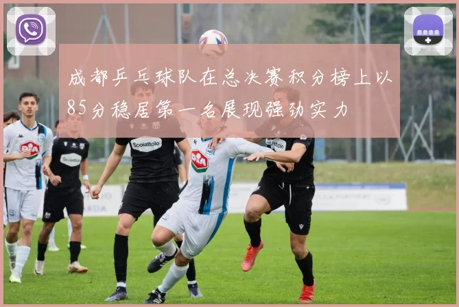 成都乒乓球队在总决赛积分榜上以85分稳居第一名展现强劲实力