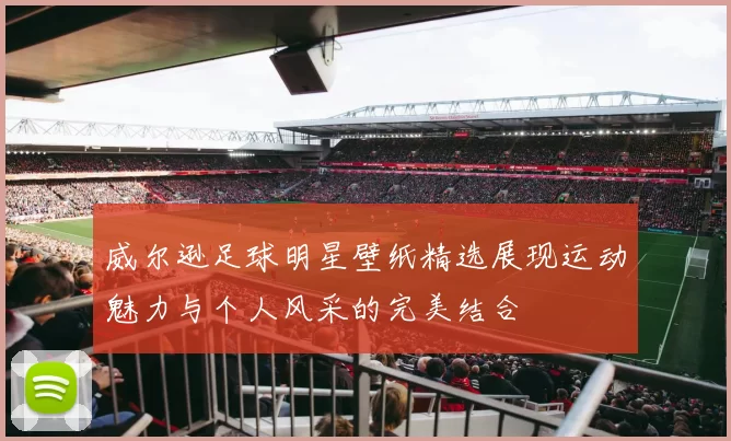 威尔逊足球明星壁纸精选展现运动魅力与个人风采的完美结合