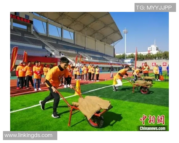 球迷文化与体育精神的传承：从热情支持到社区共建的深层探讨