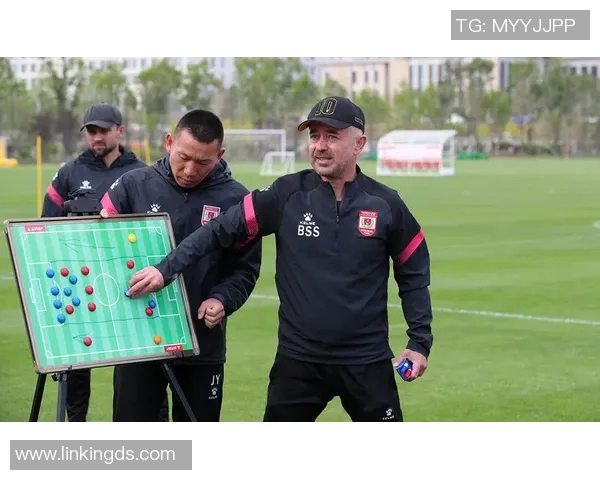 深入分析北京飞盘队快攻战术的核心要素与实战应用 深入分析北京飞盘队快攻战术的核心要素与实战应用