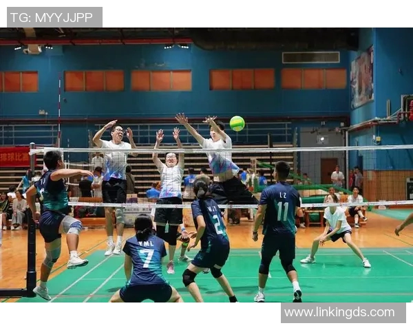 广州排球队的速度分析与战术应用探讨助力排球竞技水平提升